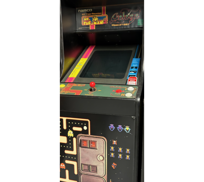 MS. PAC-MAN/GALAGA CLASS OF 1981 25